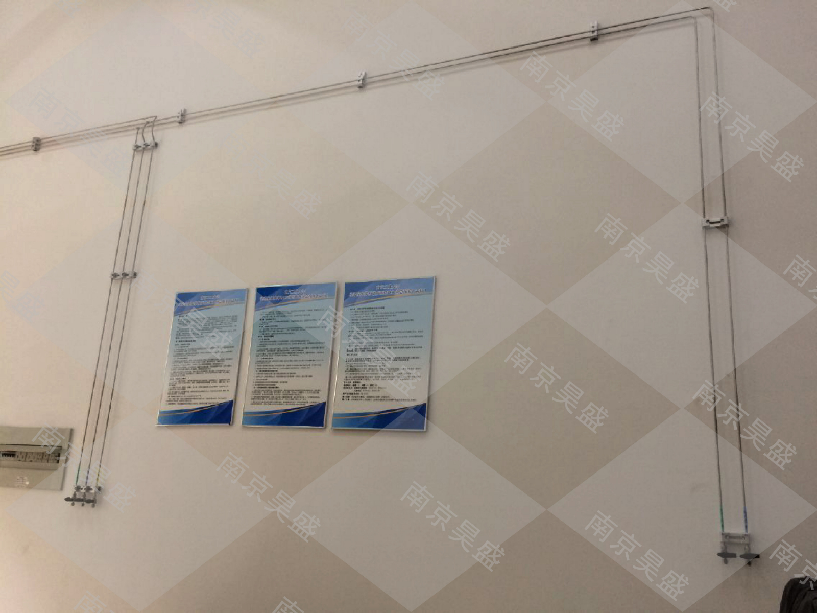 南京娇子藤