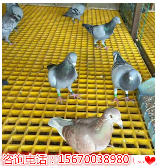 玻璃钢拉挤型材