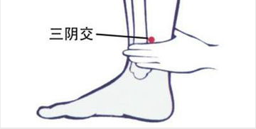 中脘穴