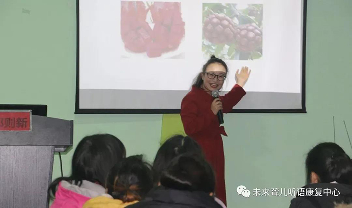 在家庭中如何帮助听障儿童提高理解能力