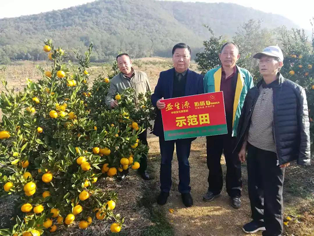 果樹冬季這樣管，明年輕松奪高產(chǎn)！簡單實(shí)用