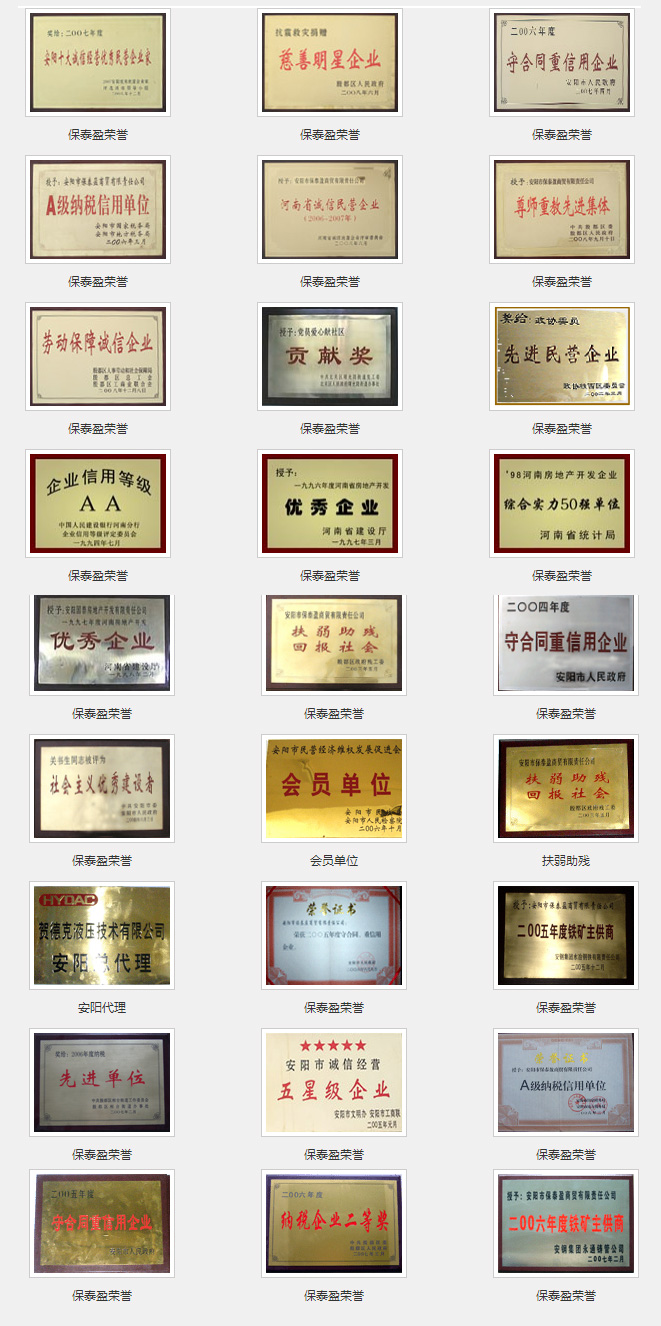 集團榮譽