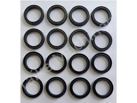Gasket (Damper)
