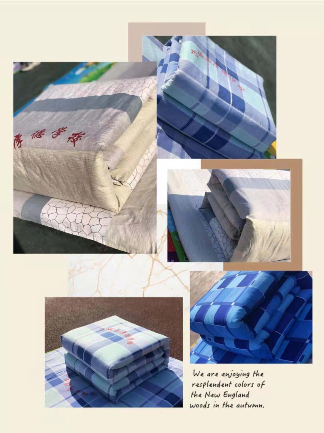 炼能力 提素质 促管理——方城县厚德学校学生综合素养提升