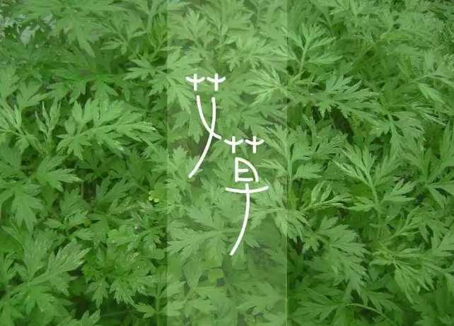 世界艾乡