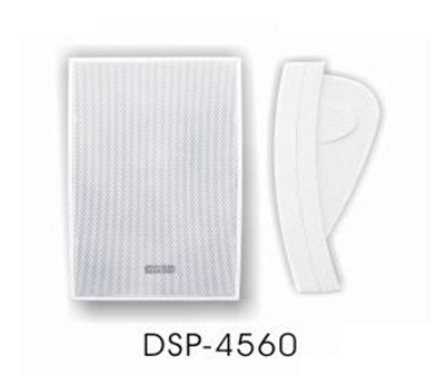 DSP-4560