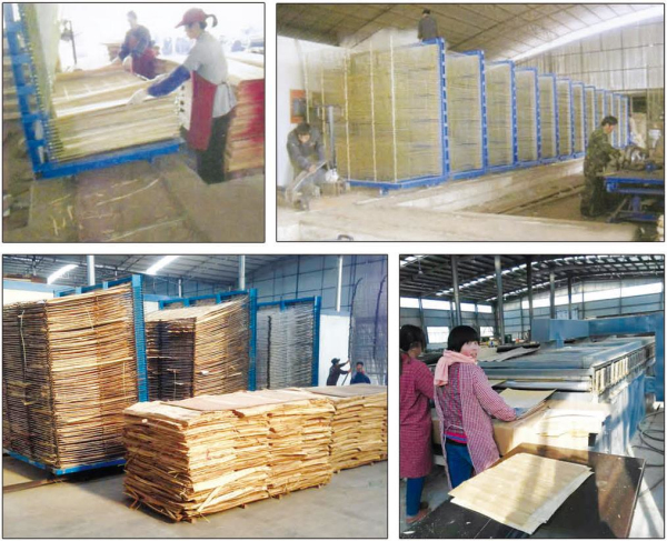 Veneer dryer of mesh belt