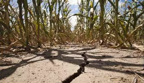預警：2020年旱澇災害并存！極端天氣偏多！