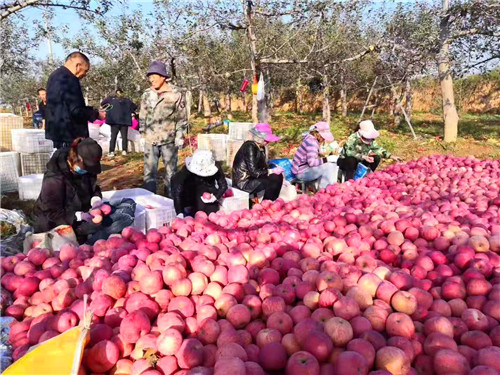 陜西全民合伙人網(wǎng)絡(luò)科技有限公司