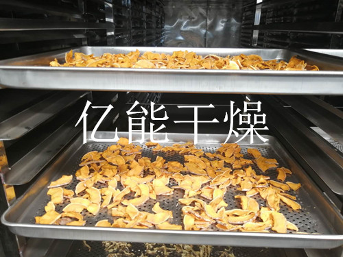 电加热烘干箱