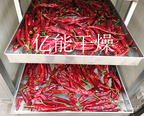 电加热烘干箱