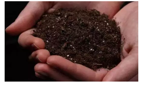 土壤、腐植酸、微生物之間的關系