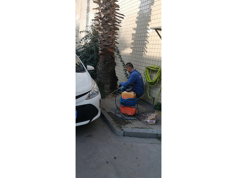 白蚁防治