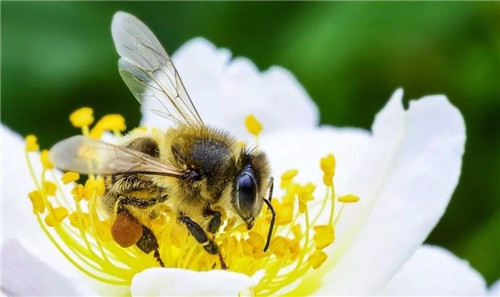 上海康泰莱生物医药工程有限公司