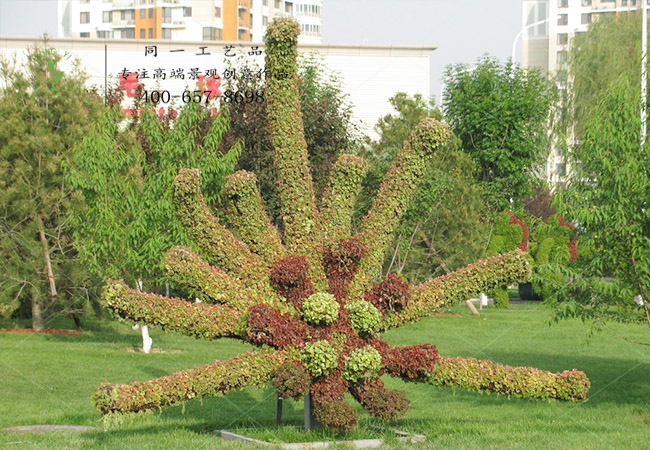植物绿雕菊花造型