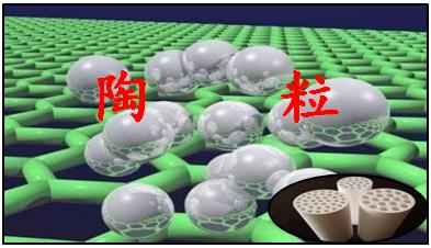 陶粒