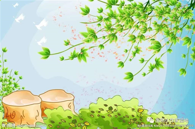 方城县厚德学校中学部专辑一