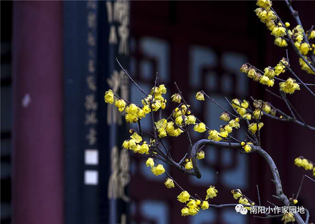 方城县厚德学校中学部专辑一