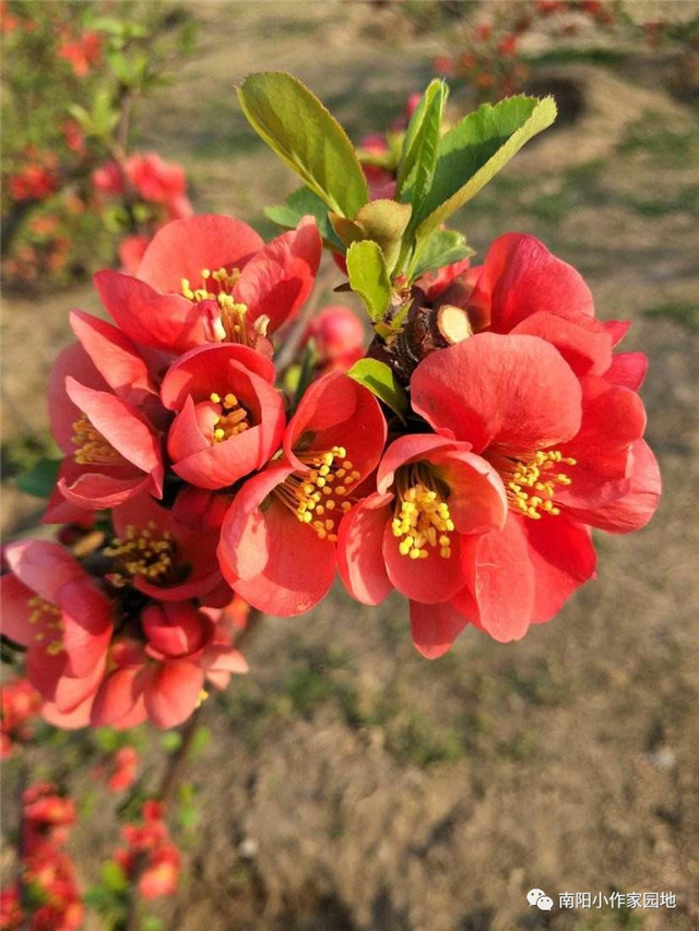 方城县厚德学校中学部专辑三
