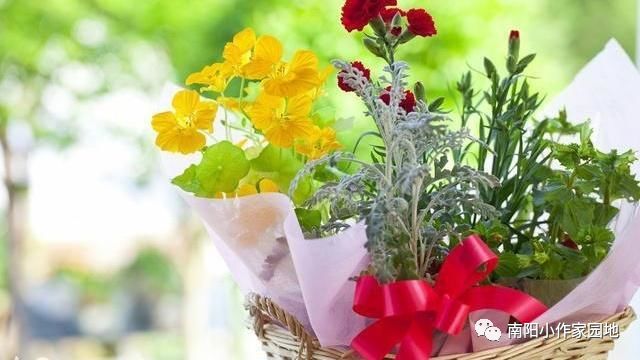 方城县厚德学校小学部专辑