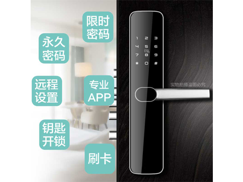 Z6公寓民宿专用智能锁
