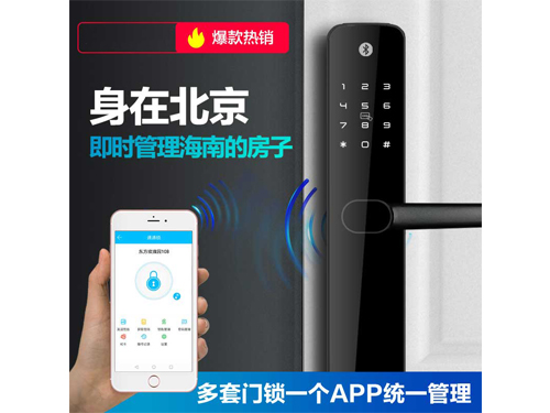 Z6公寓民宿专用智能锁