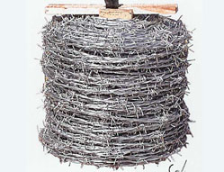 Barbe Wire