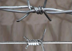 Barbe Wire