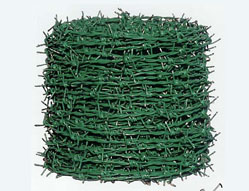 Barbe Wire