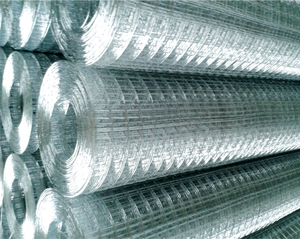 Welded Wire Mesh