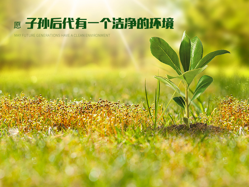 企业愿景