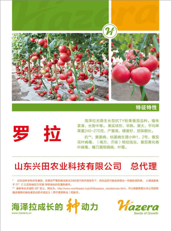 1586917908264498.jpg 2020年罗拉种苗预定开始啦