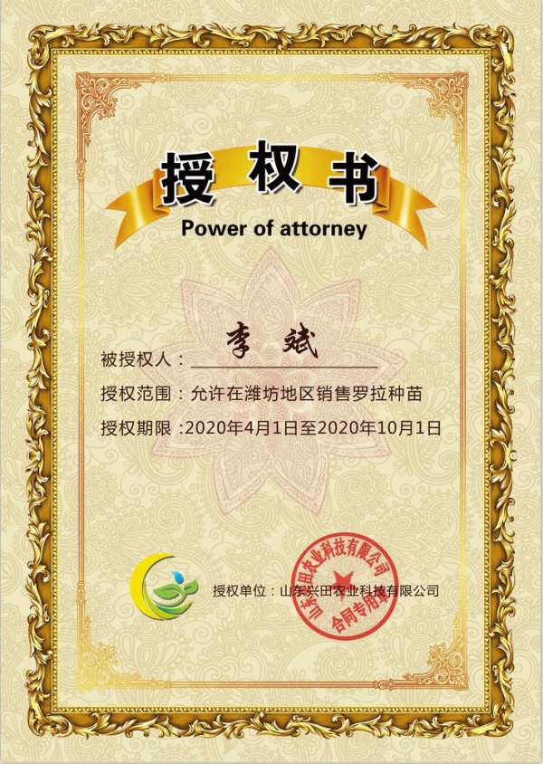 1586917908407674.jpg 2020年罗拉种苗预定开始啦