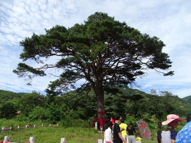 辽宁美丽瀑布：丹东青山沟旅游