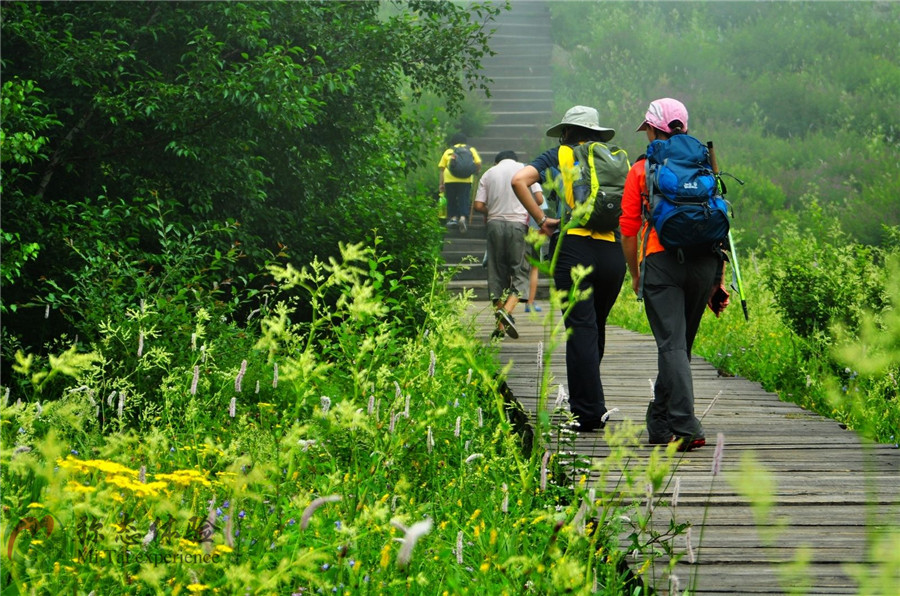 登山