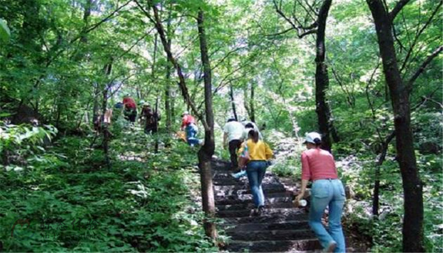 登山