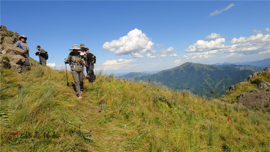 登山