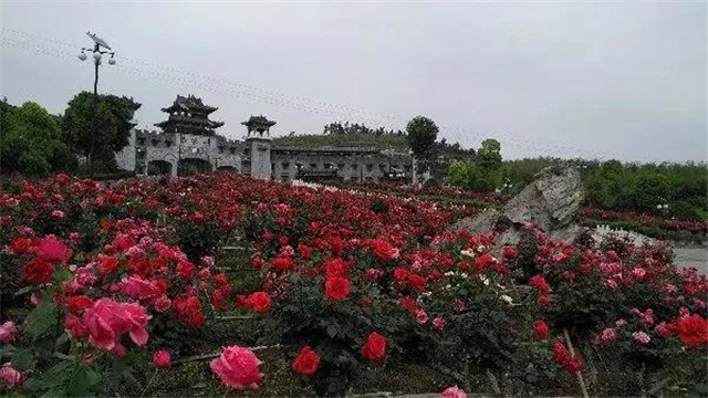 太极峡
