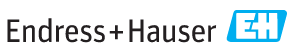 德国Endress+Hauser