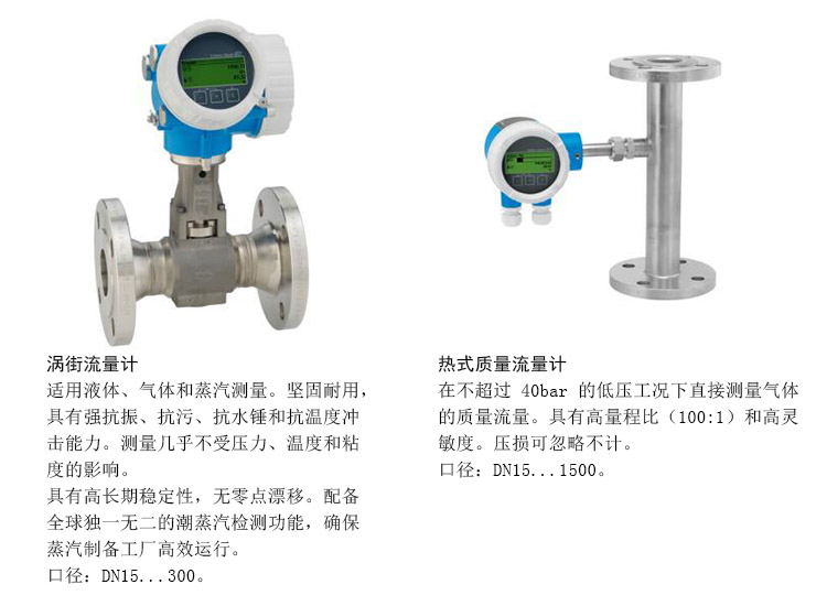 德国Endress+Hauser