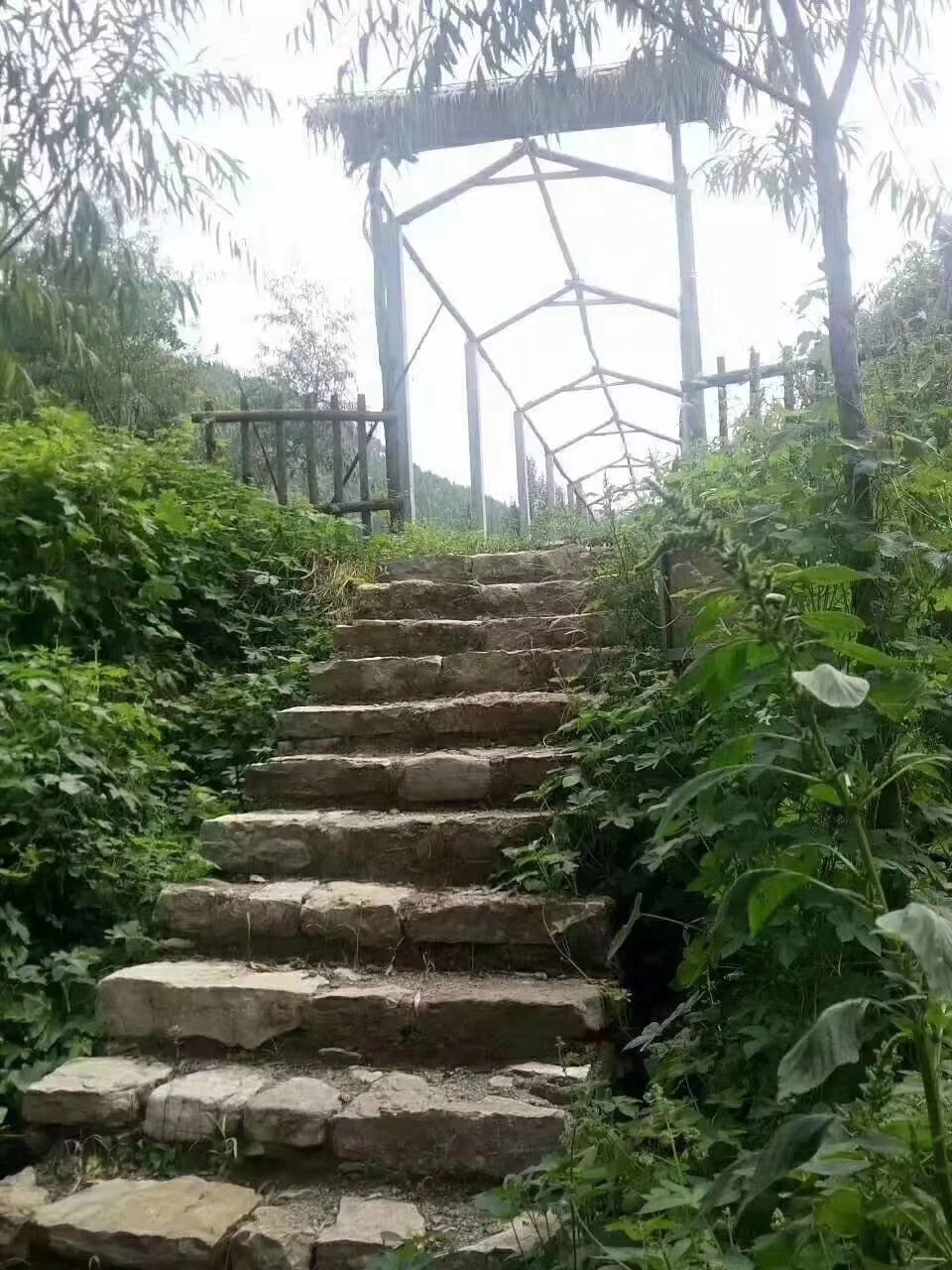 1589873934893435.jpg 一正beplay官网注册生态谷