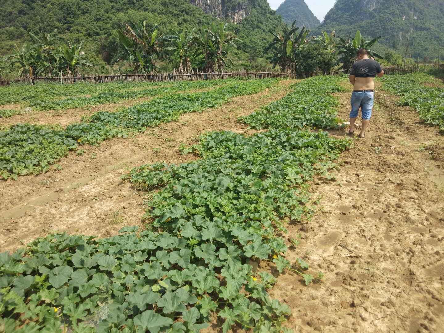 西安居上生物科技有限公司