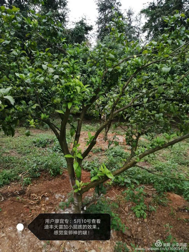 西安居上生物科技有限公司