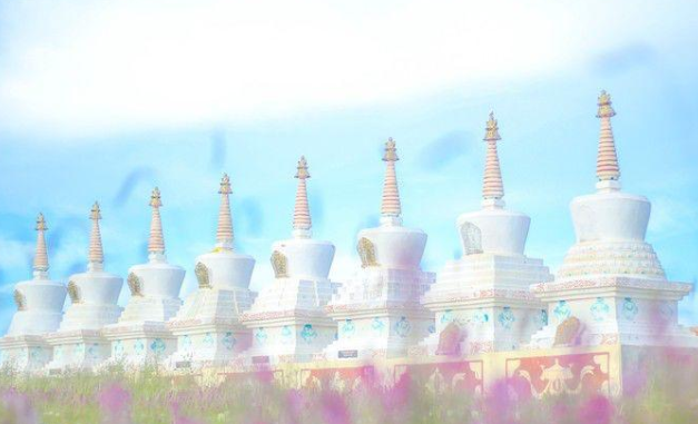 青海旅游租车