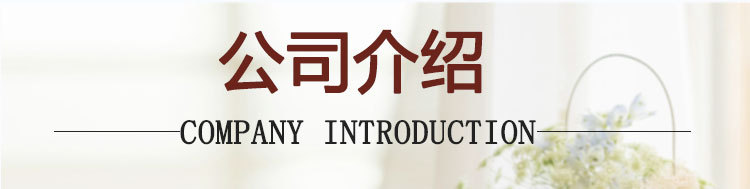 大姨妈贴宝宝经期女调理艾草暖热帖腰腹部充电暖身发热贴厂家批发(1)