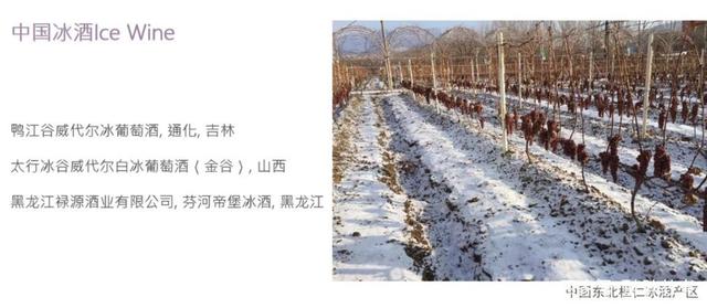 冰酒