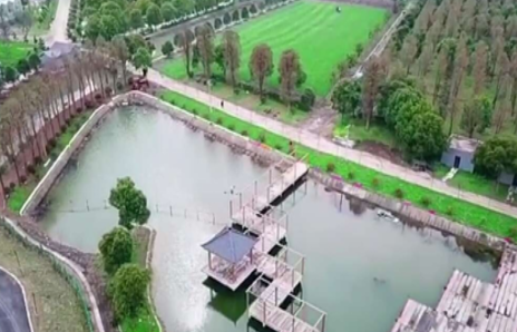上海青浦百匯生態園