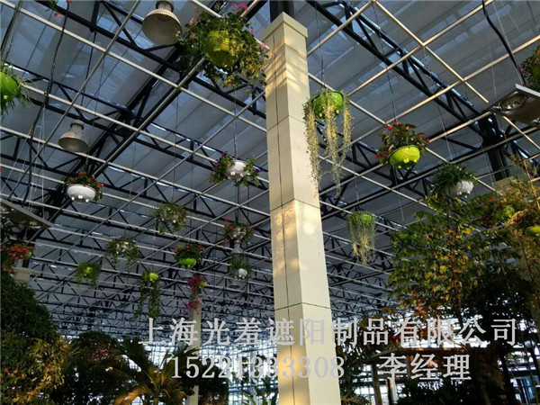 百叶帘