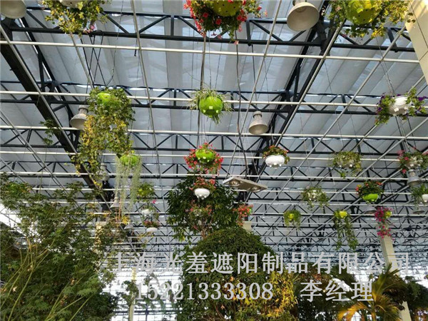 百叶帘