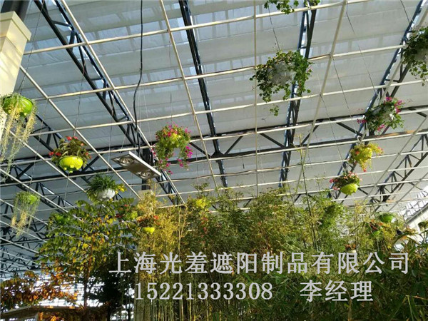 百叶帘